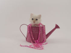 american curl 57