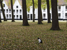 begijnhof beguinage
