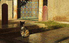 can and saadian tombs medina marrakesh morocco north africa