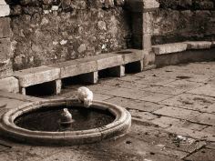 cat drinking from a fountain