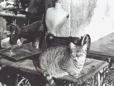cat sewing machine and manikin