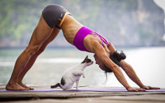 downward facing dog pose or adho mukha shvanasana meets upward facing cat
