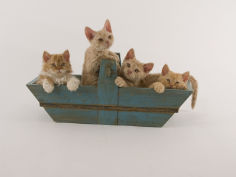 selkirk rex 23