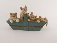 selkirk rex 24