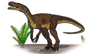 theropod dinosaur eodromaeus murphi hd background