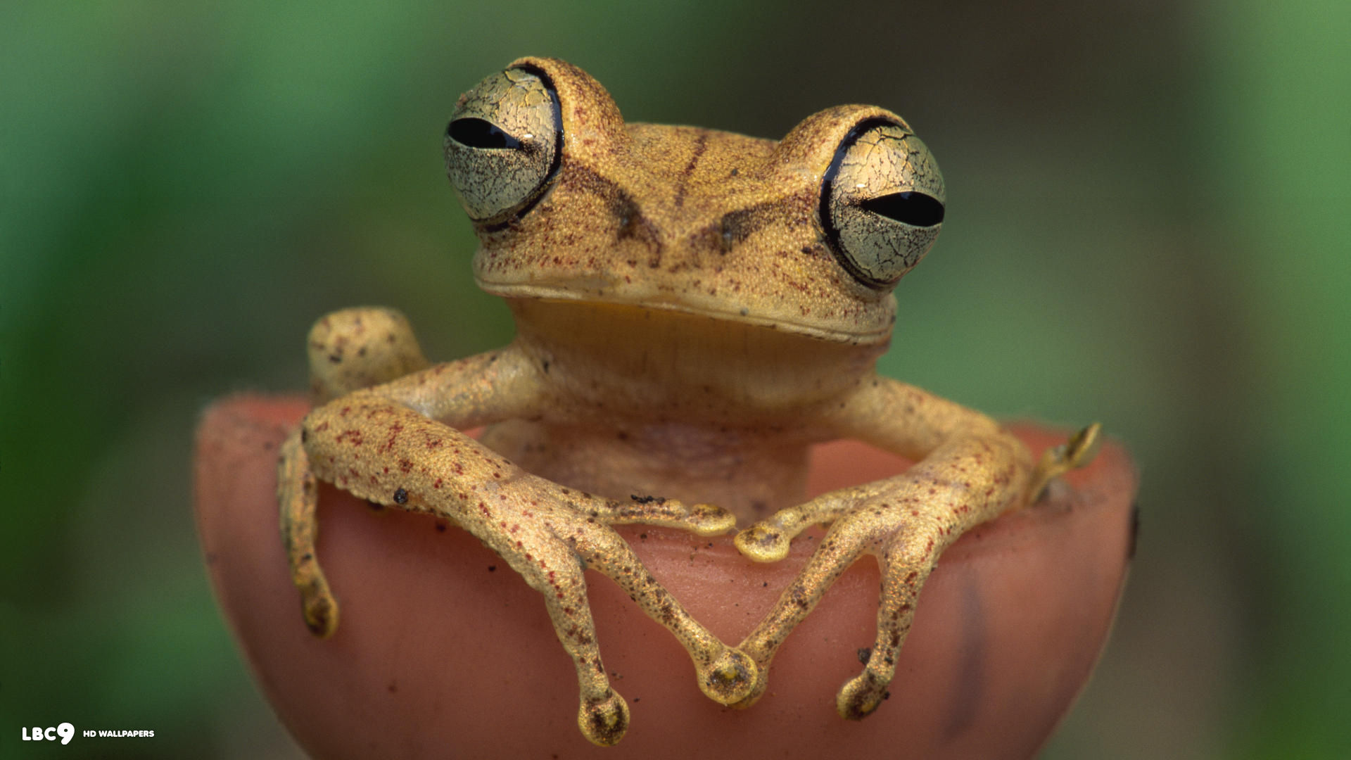 are you talkin to me