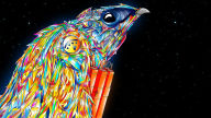 artistic psychedelic bird wallpaper 1920x1080