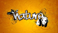 birds and panda nature vector