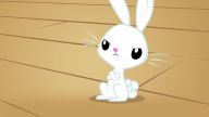 bunny vector wallpaper