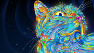 colorful cat desktop background