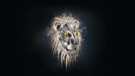 lion wallpaper metallic vector 1920x1080