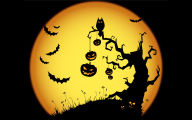 halloween scary night owl bats jack o lanterns tree yellow holiday desktop background