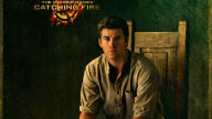 gale hunger games catching fire