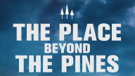 place beyond pines logo background