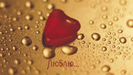 i love you russian word language red heart water drops hd wallpaper