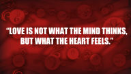 love quote what heart feels red hd wallpaper