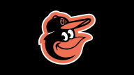 baltimore orioles logo