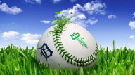 baseball detroit tigers