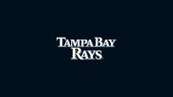 tampa bay rays wallpaper