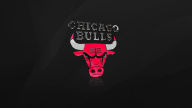chicago bulls