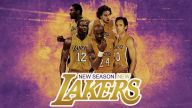 la lakers 2013 wallpaper widescreen