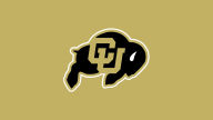 colorado buffaloes wallpaper logo