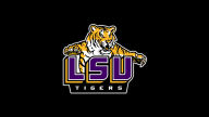 louisiana state university tigers wallpaper