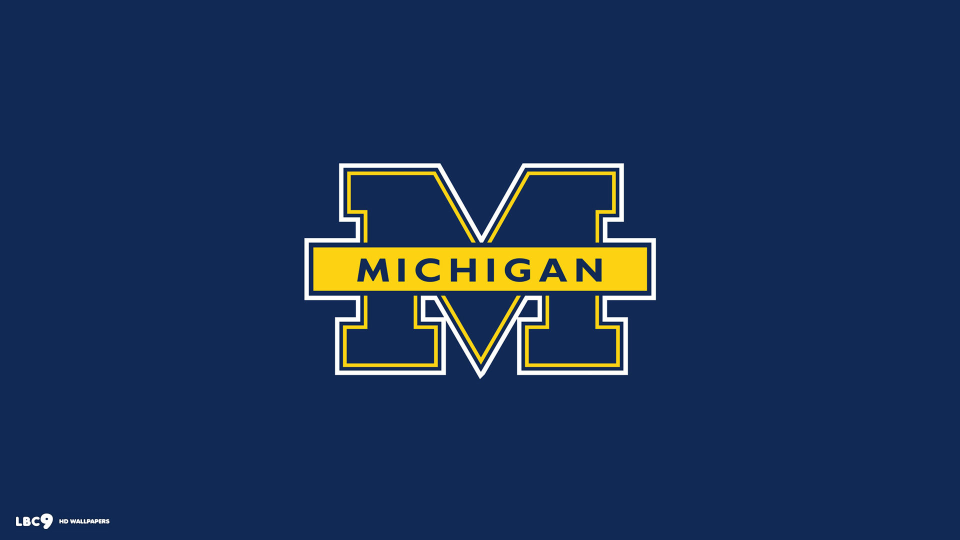 michigan wolverines
