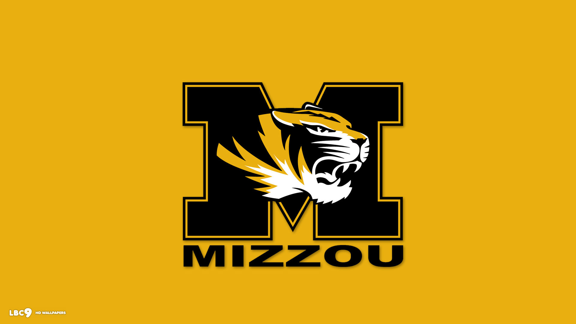 missouri tigers yellow