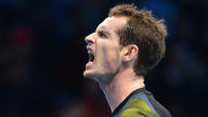 andy murray atp finals hd wallpaper