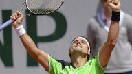 david ferrer celebrating hd wallpaper