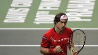davis cup david ferrer widescreen wallpaper
