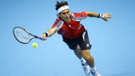spanish tennis player david ferrer