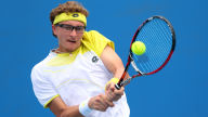 denis istomin
