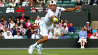 grigor dimitrov grass court 1080p