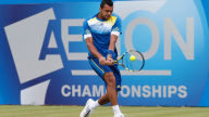 jo wilfried tsonga aegon championships