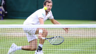 benneteau grass hd wallpaper