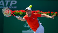 mardy fish wallpaper