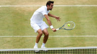 marin cilic grass wallpaper