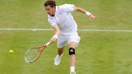 mahut grass desktop background