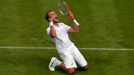 steve darcis wimbledon wallpaper