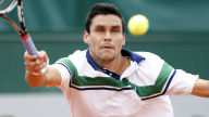 victor hanescu